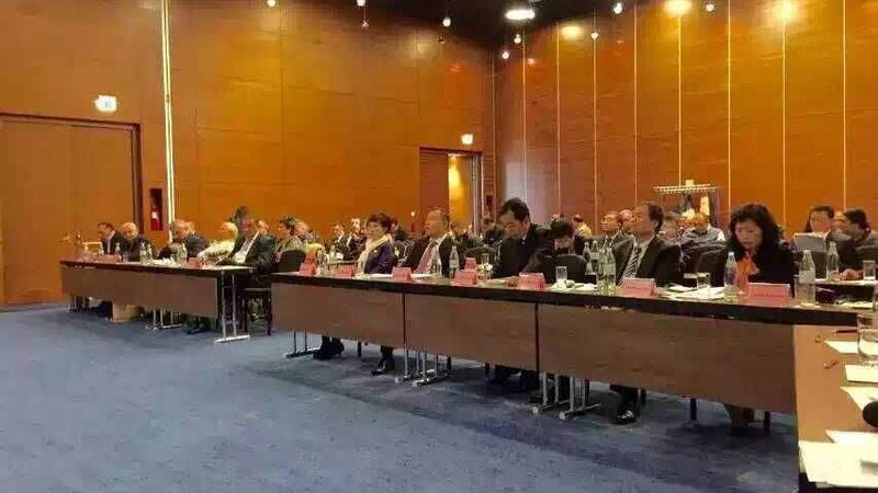 海外投资尽职调查：揭秘公司资质背后的关键要素